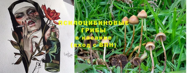 прущая мука Семёнов