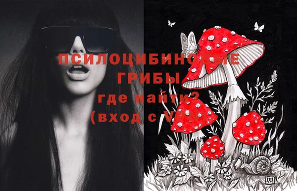 винт Алексеевка