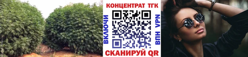 KRAKEN как войти  Ветлуга  ТГК концентрат 