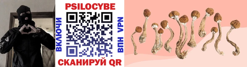 Псилоцибиновые грибы Magic Shrooms Ветлуга